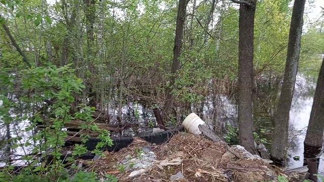 Нас затопит или нет? Вода поднялась! смотреть онлайн