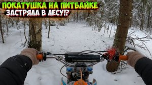 ПОКАТУШКА ЗИМОЙ НА ПИТБАЙКЕ ПО СНЕЖНОМУ ЛЕСУ