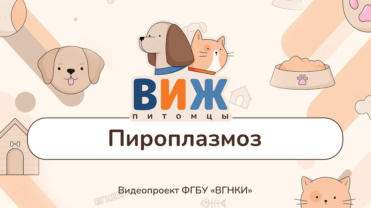 «ВИЖ Питомцы» - Пироплазмоз