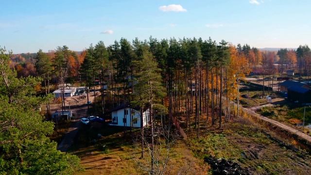 Дом в соснах сентябрь 2022 смотреть онлайн