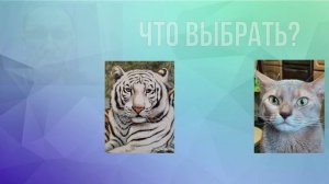 Когда у тебя дома голодный котик, а ты на работе - нужно сделать сложный выбор. С одной стороны кот