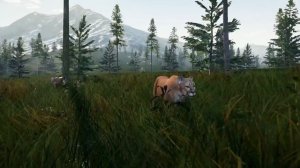 HUNTING SIMULATOR - Official Gameplay Trailer (New Open World Hunting Game) 2017