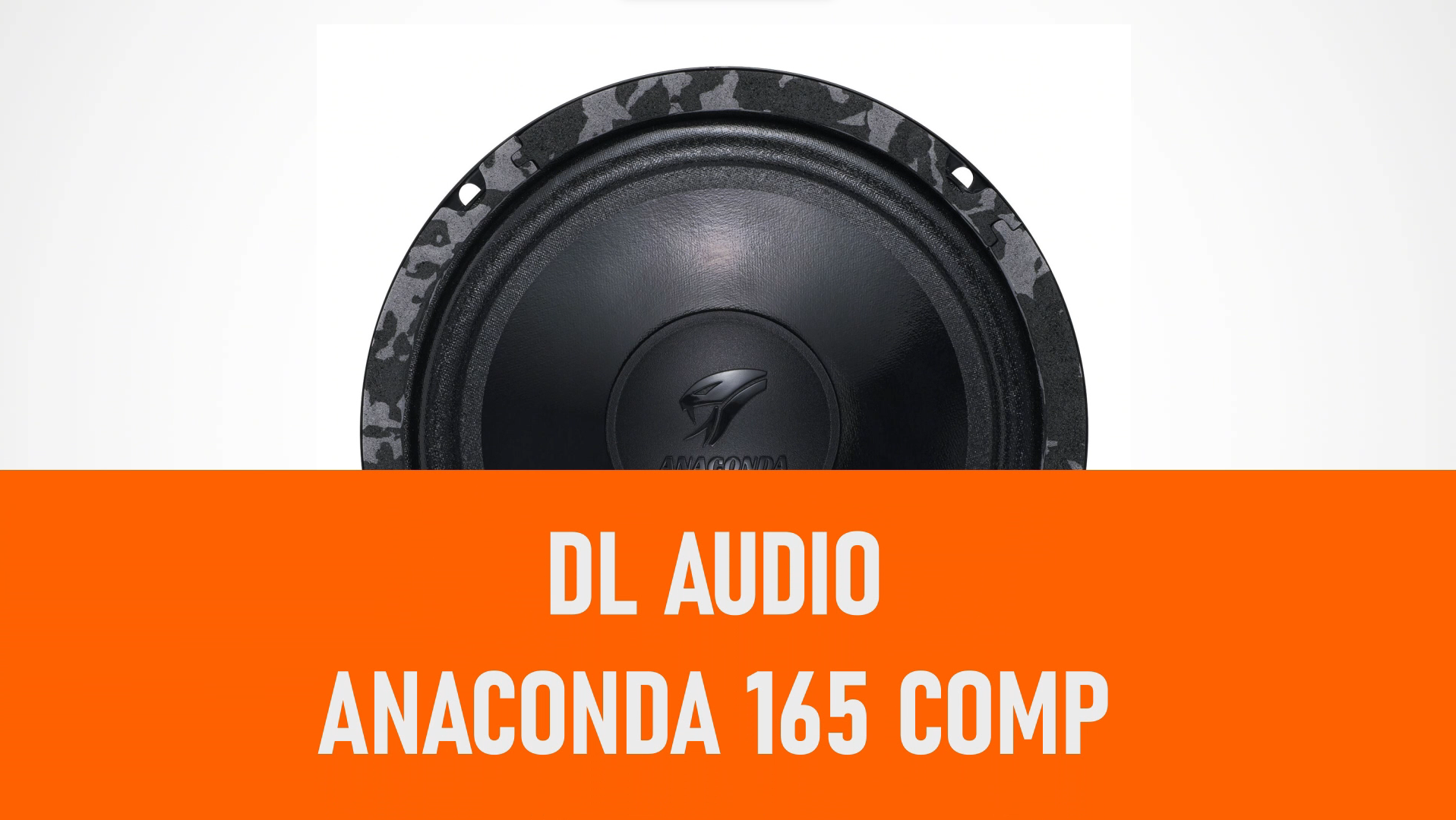 Распаковка динамиков DL Audio Anaconda 165 Comp