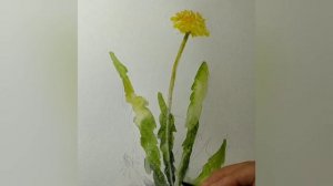 Пленэр 1 класс Этюд цветов акварелью