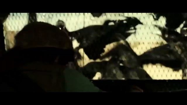 История о страшном грибе. смотреть онлайн