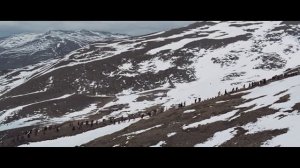 Симон Боливар - Освободитель Южной Америки (биография).