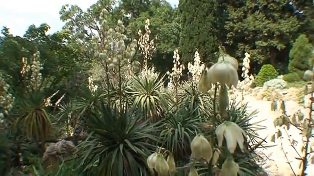 Крым - Никитский Ботанический Сад смотреть онлайн