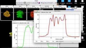 plot profile intensity for four fluorescent image in ImageJ |how to plot profile intensity in image