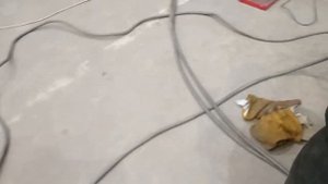 Сварка Шпильки Нельсона