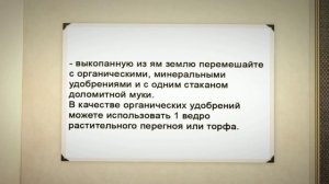 Как посадить калину, полезные советы