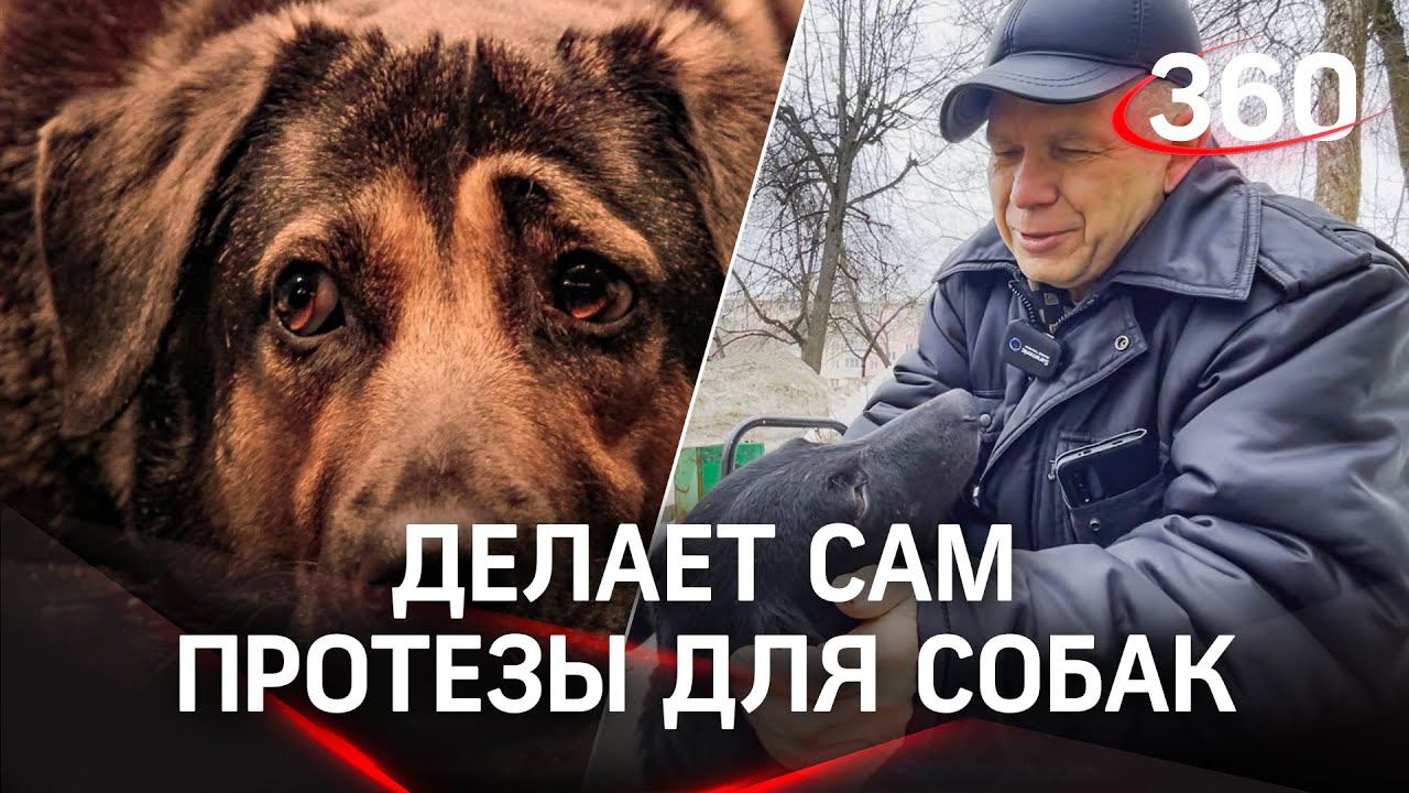 Делает протезы для животных из подручных материалов