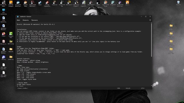 Эмулятор NDS Drastic Anbernic rg35xx Garlic OS