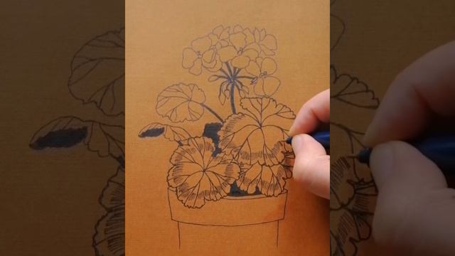 Рисование растений. Герань. смотреть онлайн