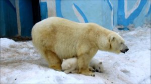 Малыш Герды устал и заснул. 25.03.19 г.