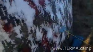 Терма 10  Обзор мобильной бани