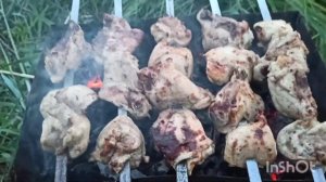 Ловля судака на реке Челбас