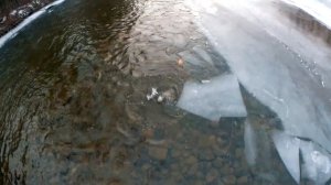 ХАРИУС. ЛОВЛЯ ХАРИУСА. РЫБАЛКА 2020. № 2