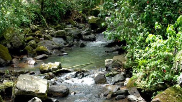 Audiolibro “La muñeca menor” de Rosario Ferré смотреть онлайн