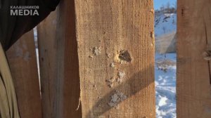 Нарезное VS Гладкоствольное Мифы об Оружии