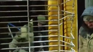 бетонирование колонн