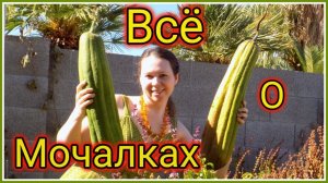 "Как  Очистить и Отбелить Мочалку (Люффу)" (и другая  интересная информация в этом видео) #29