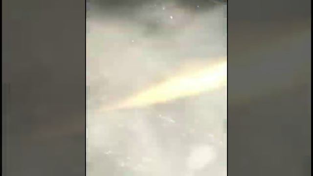 luppolo selvatico da Lina