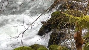 Господи Дай Мне Верности