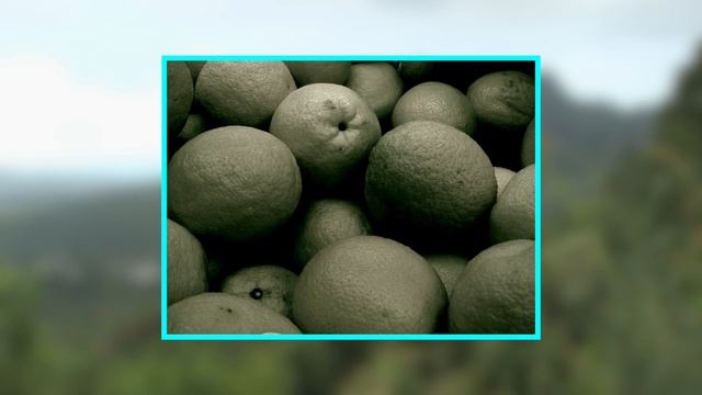 How to make a Blue Hawaii Cocktail - Harry Yee's original recipe | BAR TALK & COCKTAILS смотреть онлайн