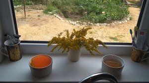 Раковина у окна. Мой опыт