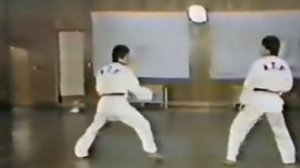 Тхеквондо. Архивное видео.