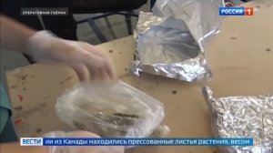 Внуковские таможенники обнаружили килограмм марихуаны в посылке из Канады. Россия 1 "Вести"