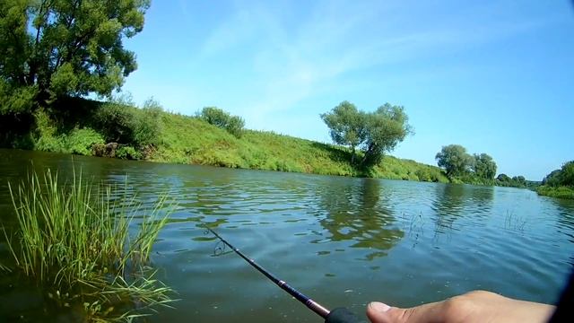 Ловля голавля на малой реке. Рыбалка на спиннинг. Река Жиздра. смотреть онлайн