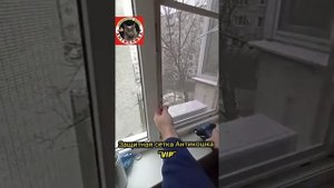 Защитная сетка Антикошка от выпадения из окон кошек. #антикоготь #краснодар #антикошка #кошки #коты