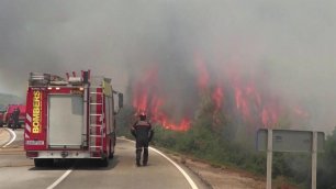 Пожары уничтожили в Европе рекордную площадь леса