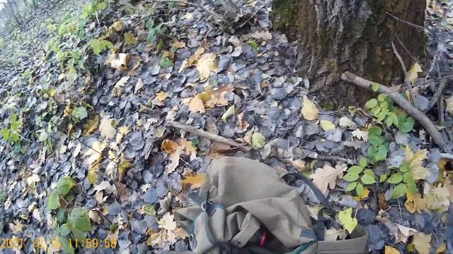 Охота на куницу капканами 2021. Прикармливаю . смотреть онлайн