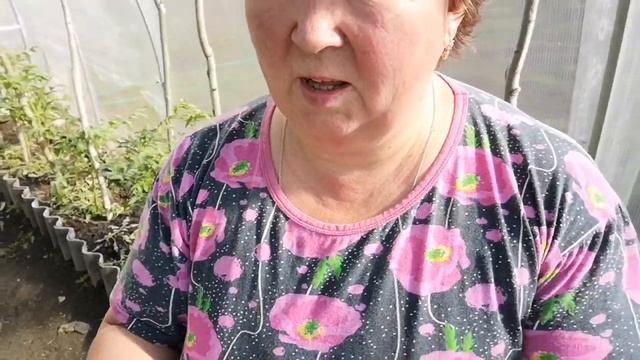 Разговорчик ни о чём. Обычный вечер. смотреть онлайн