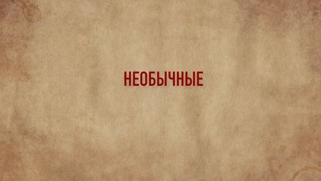 Что ели коренные американцы? Меню для индейцев Северной Америки