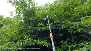 Gardena Starcut 410 Plus Telescopic Pruner: Put to the Test