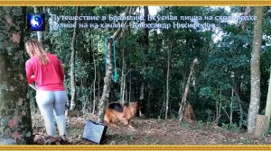 Путешествие в Бразилию. Вкусная пицца на сковородке.