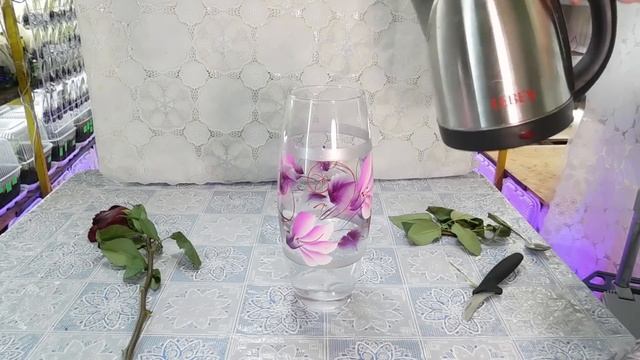 ???КАК ОЖИВИТЬ УВЯДШУЮ РОЗУ ИЗ БУКЕТА ! ЛАЙФХАК ! ПРОЩЕ ПРОСТОГО ! смотреть онлайн