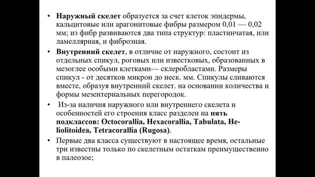 лекция 3  Кишечнополостные_1