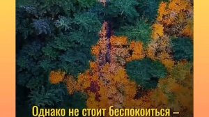 Предсказания Ванги для Европы в 2037 году от нее останется безжизненная пустыня