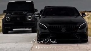 Фонтанчик с чёрным дельфином.