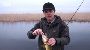 ТВИЧИНГ СИЛИКОНА x АЛЕКСЕЙ ШАНИН