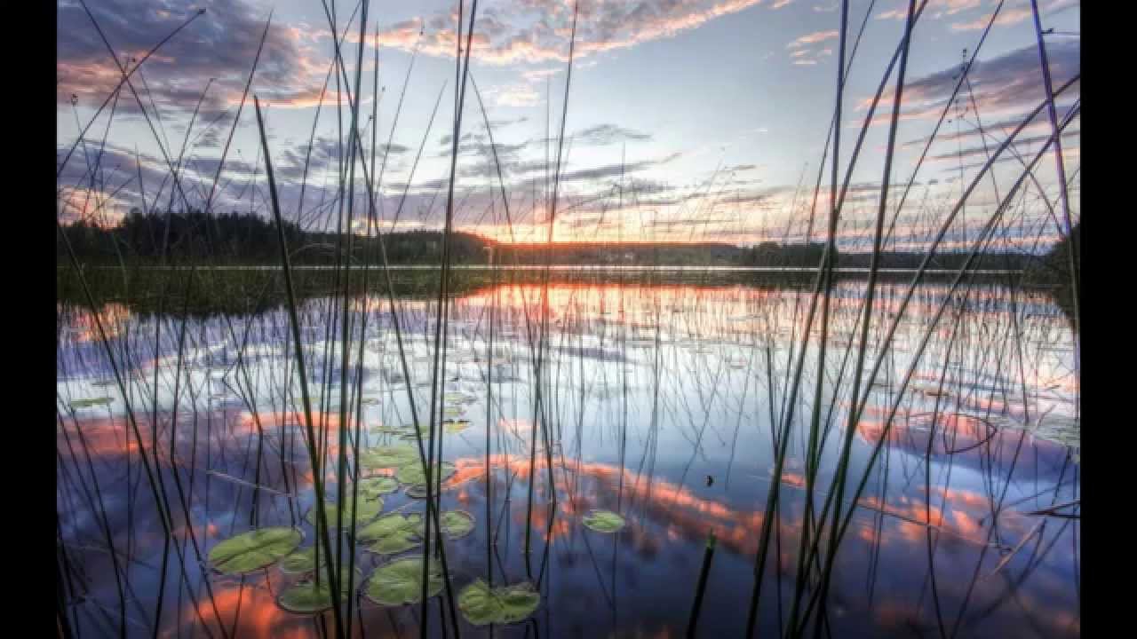 Григорий Зайцев Концертино фрагменты