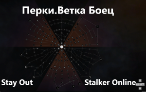 Stay Out / Stalker Online. Перки. Ветка Боец