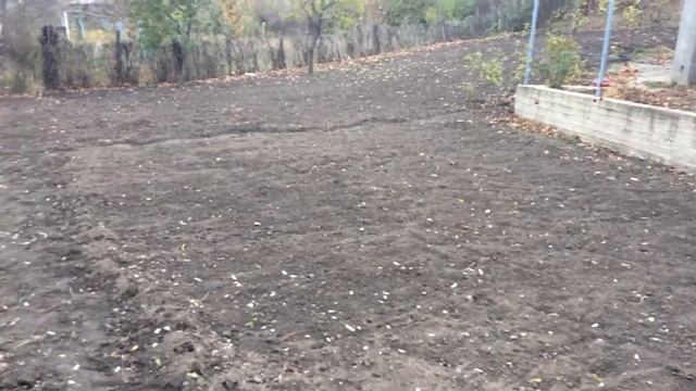 калиброванная воздушка любаши на посадку и обзор испанского чеснока.