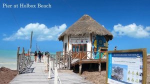 Isla Holbox, Mexico | Holbox Beach, Arrival, Nightlife & Tips (Car-Free Island)
