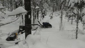 Сравнение мотобуксировщиков Бурлак и Тофалар