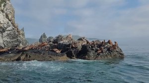 Ляля Алексакова представляет: "Владивосток - столица Дальнего Востока".